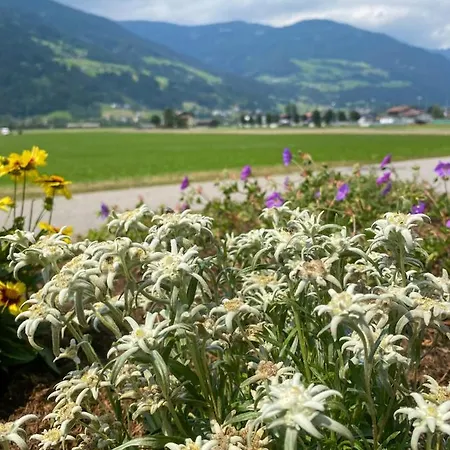 Haus I'mperfect Apartmán Stumm