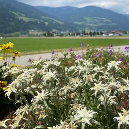 Haus I'mperfect Stumm